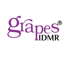 Top Healthcare Intelligence | Grapes Innovative Solutions