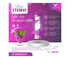 Premium Wellness Supplement Regen Stemvi – Buy Online at Victous Life