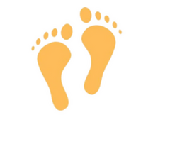 “Mahalaxmi Trade – India’s Gateway to Quality Global Exports”