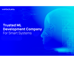 ML Development Services for Smarter Businesses
