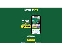 Lotus 365 Online Cricket Betting Platform