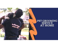 Pet Grooming Bangalore - By ThePetNest