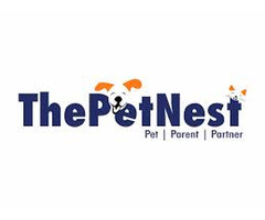 Pet Grooming In Hyderabad Pet spa that Comes to your Home - ThePetNest