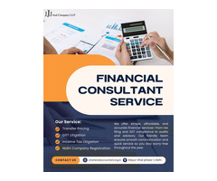 GST Litigation Consultant