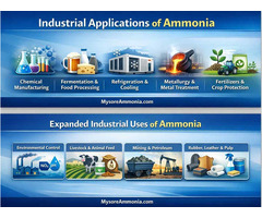 Trusted Industrial Ammonia Supply – Contact Us